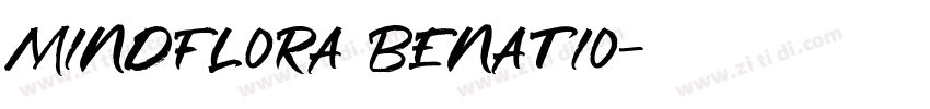 Mindflora Benatio字体转换
